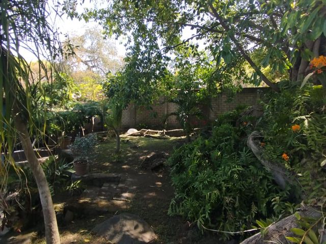 place photo 37