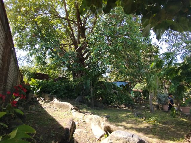 place photo 39