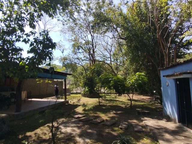 place photo 40