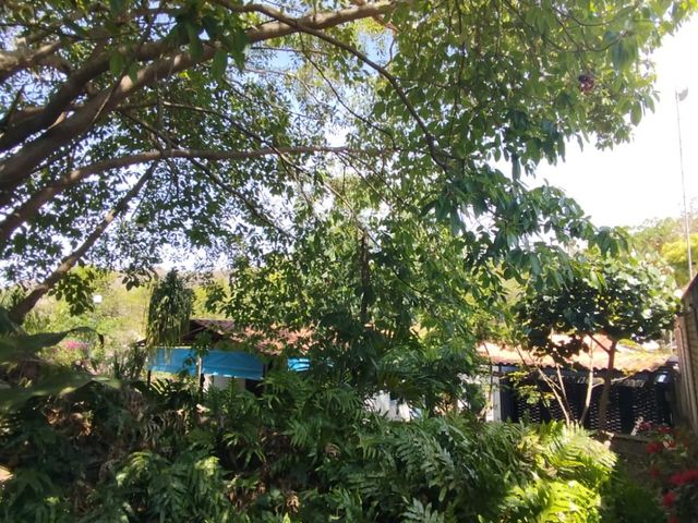place photo 55