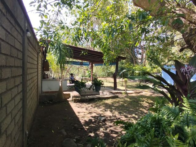 place photo 44