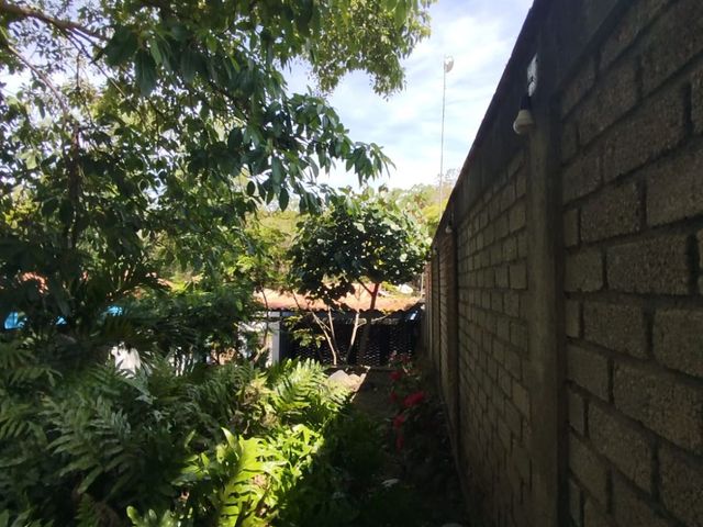 place photo 46