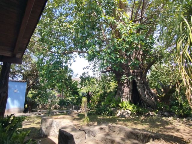 place photo 48