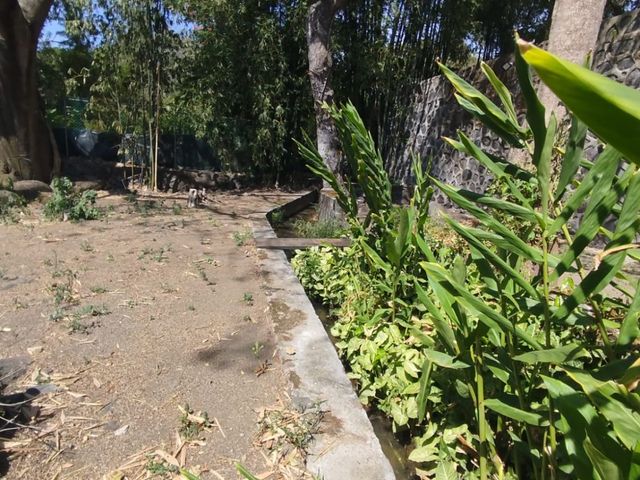 place photo 53