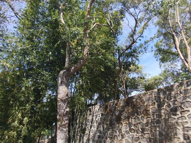 place photo 54