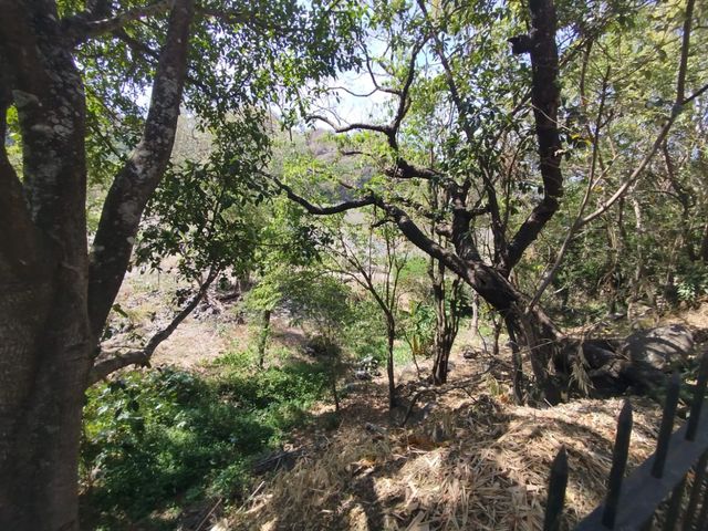 place photo 59