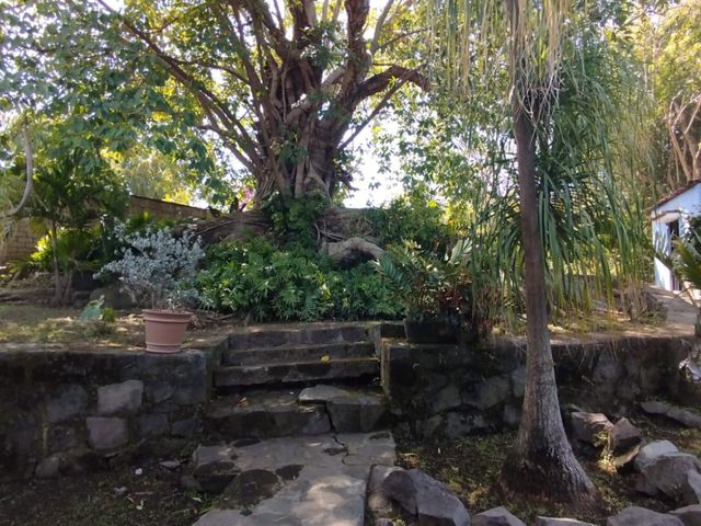 place photo 61