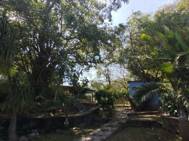 place photo 62