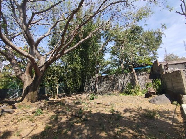 place photo 64