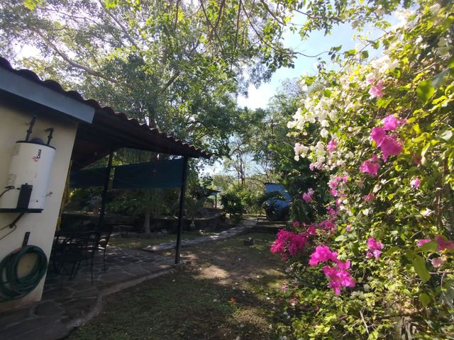 place photo 65