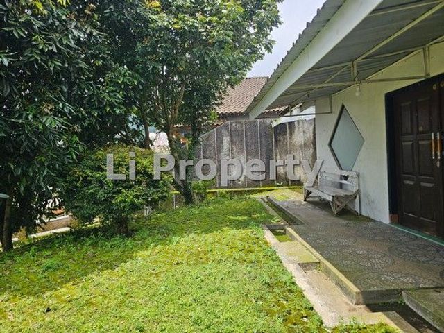 place photo 18