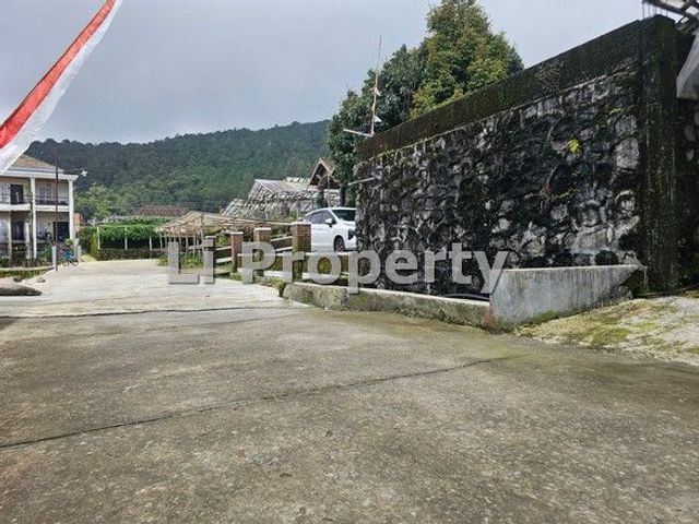 place photo 24