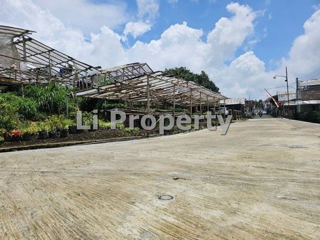 place photo 26
