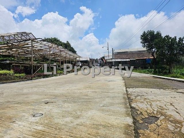 place photo 27