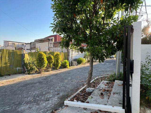 place photo 30
