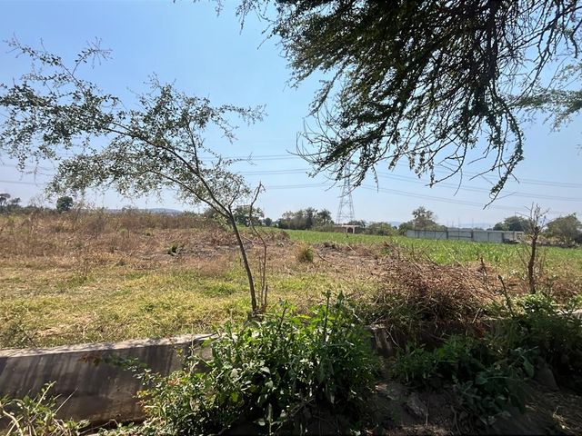 place photo 11
