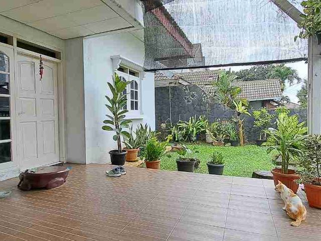 place photo 21