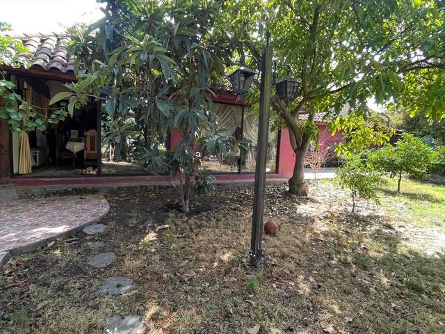 place photo 15