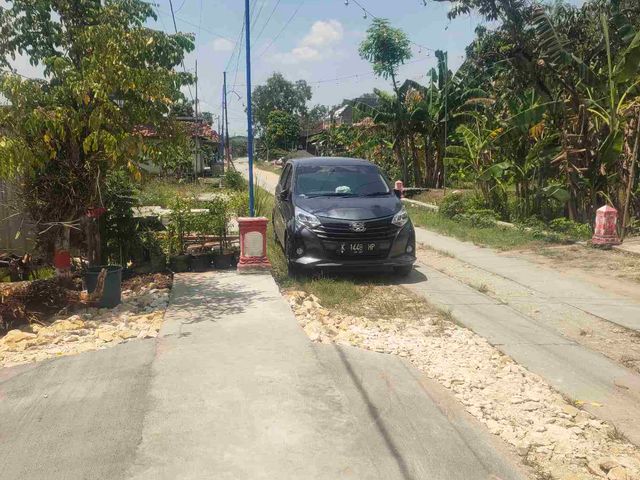 place photo 33