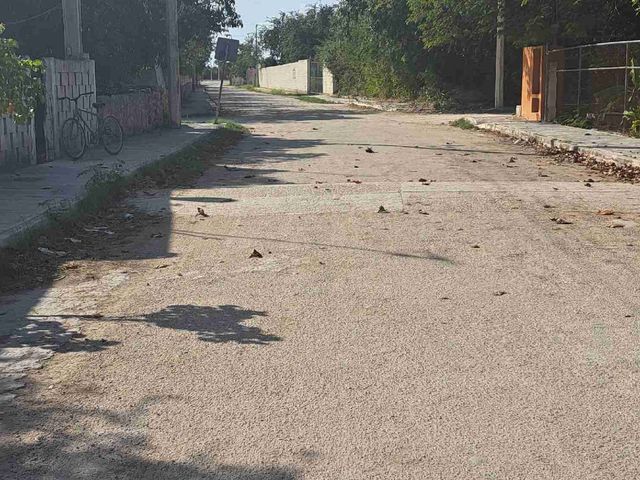 place photo 5