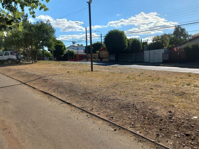 place photo 21
