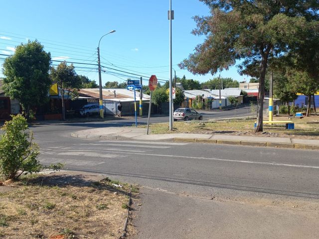 place photo 26