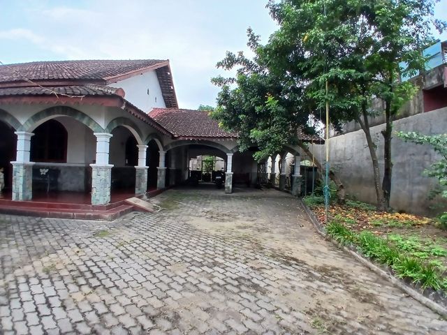 place photo 10