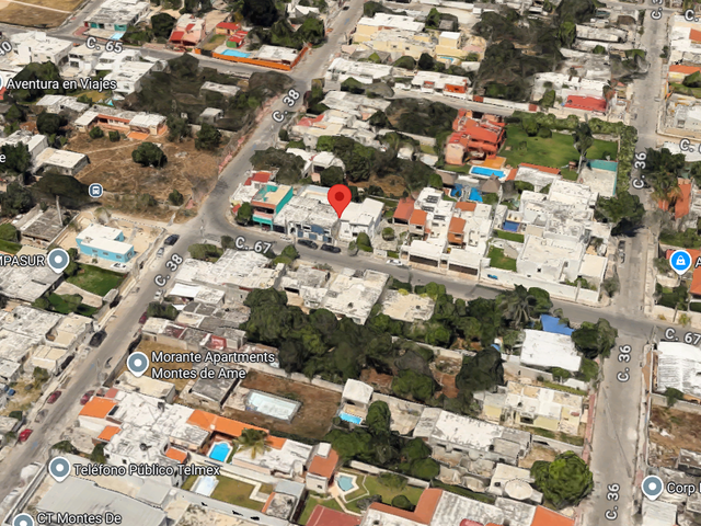 place photo 19