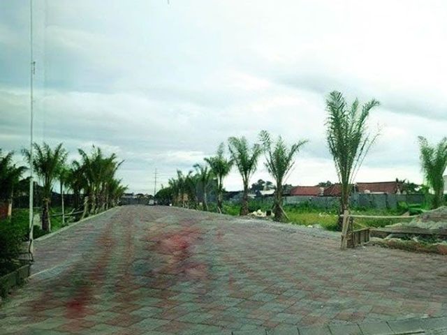 place photo 15