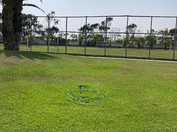 place photo 24