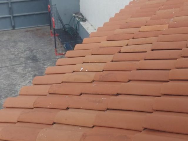 place photo 30