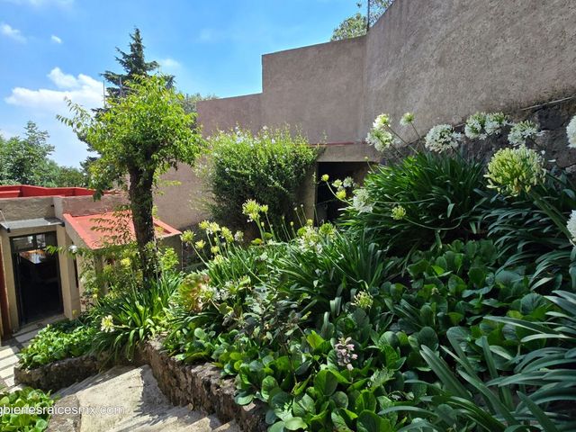 place photo 34