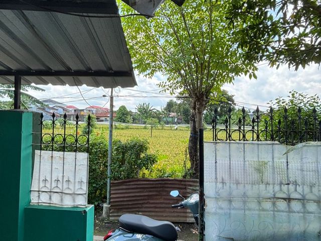 place photo 4