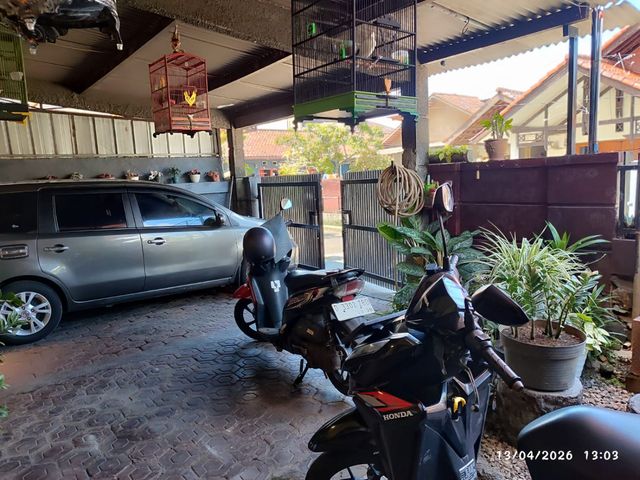 place photo 13