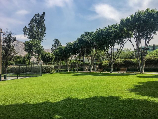 place photo 28