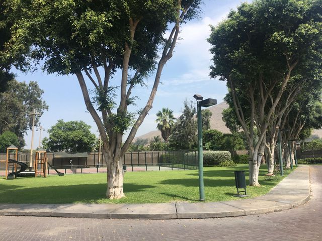 place photo 29