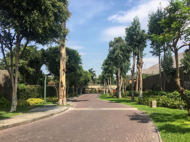 place photo 32