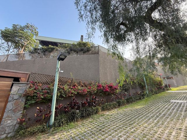 place photo 79
