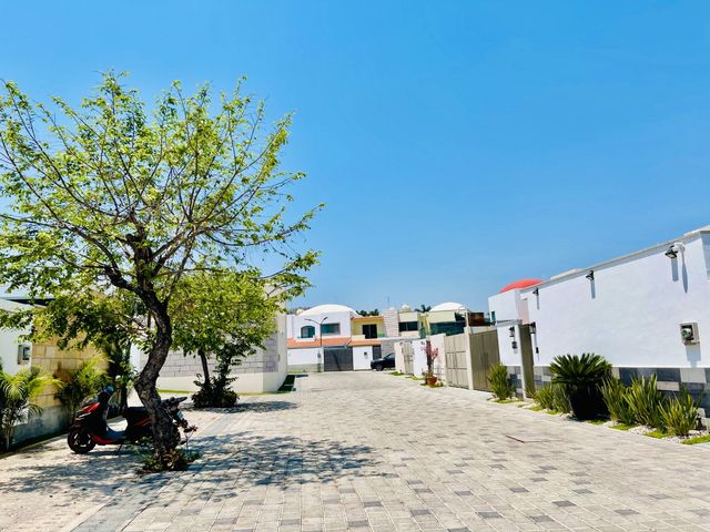 place photo 27
