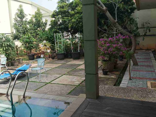 place photo 20