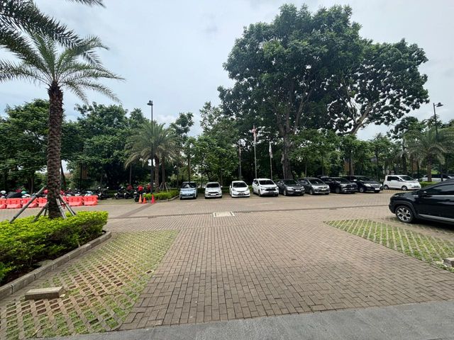 place photo 23