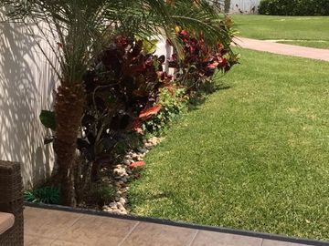 place photo 21