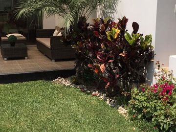 place photo 22