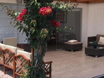 place photo 28