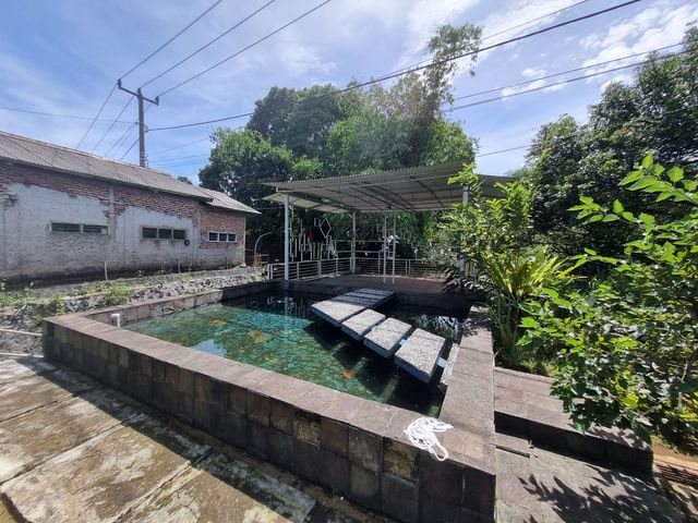 place photo 19