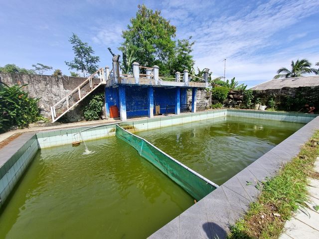 place photo 28