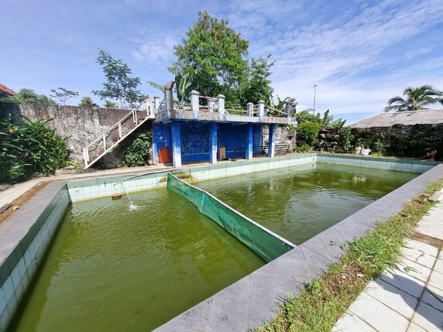 place photo 29