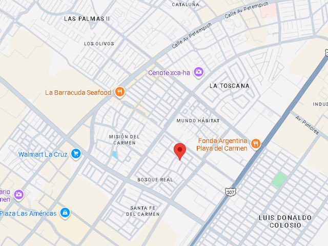 place photo 13