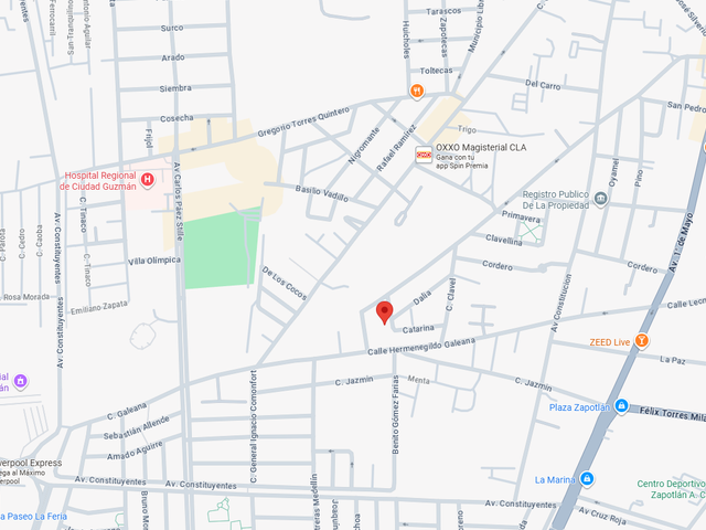 place photo 9