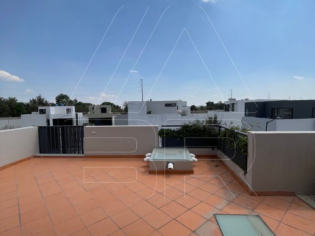place photo 46